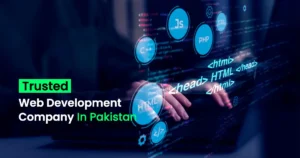 web development company